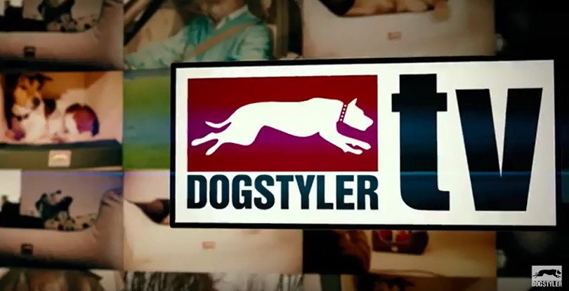 Harry Wijnvoord – DOGSTYLER – „DOGSTYLER.TV | Interview”